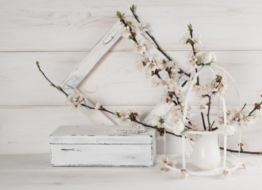 Kayısı çiçek, eski kare ve vintage tabut ile kuş kafesi  