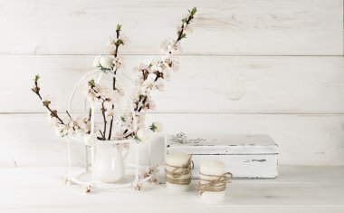 Mum ve eski tabut Shabby Chic tarzı ile kayısı çiçek 