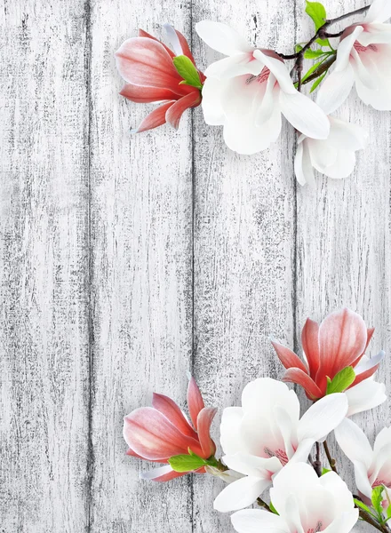 Manolya çiçek eski püskü ahşap plakalar arka plan üzerinde — Stok fotoğraf