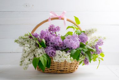 Arka plan eski püskü ahşap plakalar üzerinde sepet içinde Lila buket  