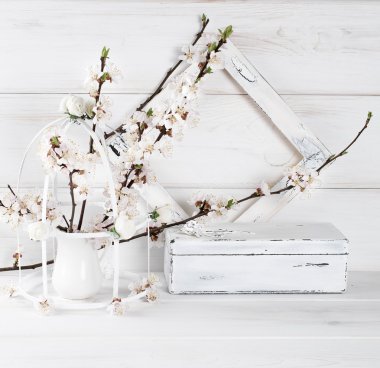 Kayısı çiçek, eski kare ve vintage tabut ile kuş kafesi  