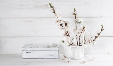 Kayısı çiçek ve rose ile eski vintage tabut ile kuş kafesi 