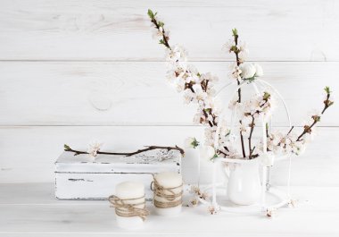 Mum ve eski tabut Shabby Chic tarzı ile kayısı çiçek 