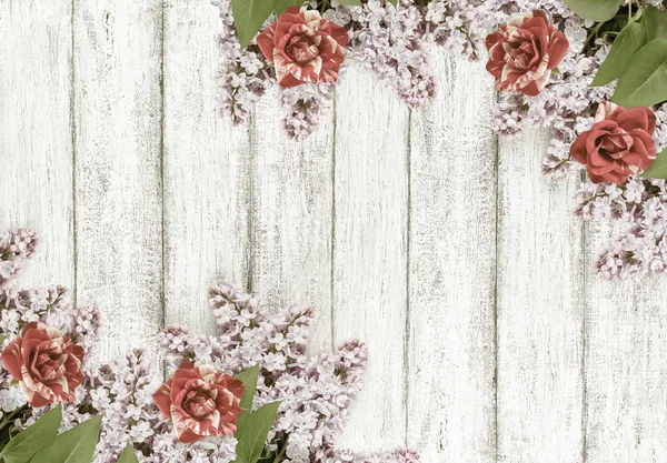Lila bloemen met rozen — Stockfoto