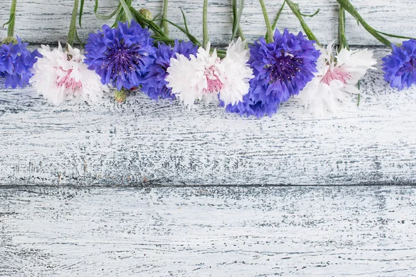 Cornflowers deitado em tábuas de madeira — Fotografia de Stock