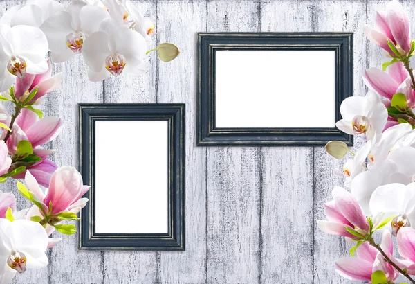 Magnolia bloemen met orchidea en foto frame — Stockfoto