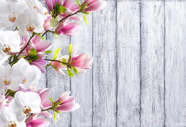 Magnolia con orquídea sobre fondo de tablones de madera en mal estado —  Fotos de Stock