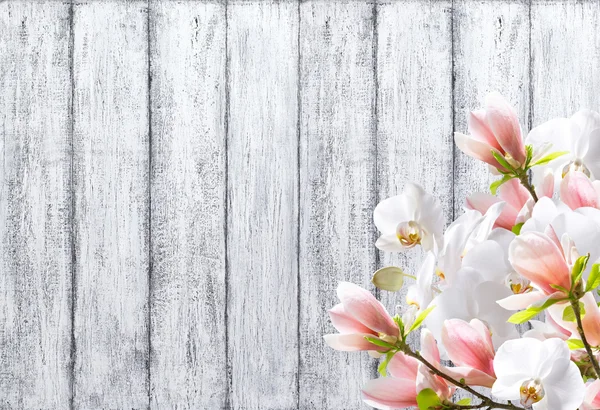 Magnolia con orquídea sobre fondo de tablones de madera en mal estado —  Fotos de Stock