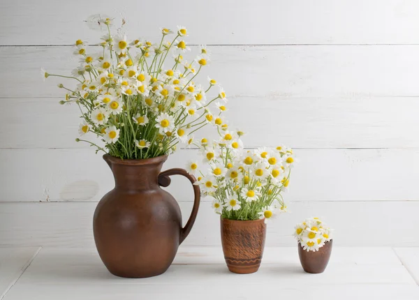 Zusammensetzung der Sträuße von Gänseblümchen — Stockfoto