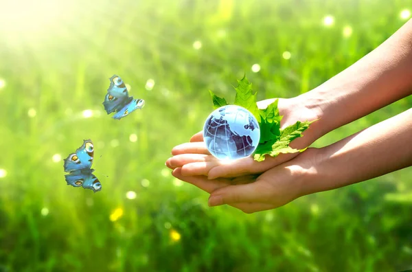 人間の手で地球の結晶ガラス球 青い翼 草の背景と孔雀の目の蝶を飛んでいます 環境を保存し きれいな緑の惑星 生態学の概念を保存します 世界地球の日のカード — ストック写真