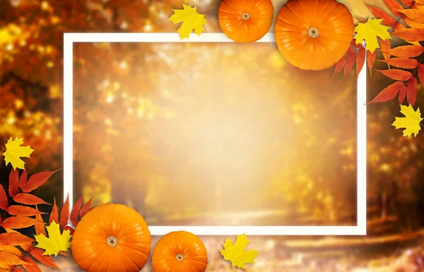 Carte Festive Automne Thanksgiving Avec Citrouilles Feuilles Automnales Automne Cadre — Photo