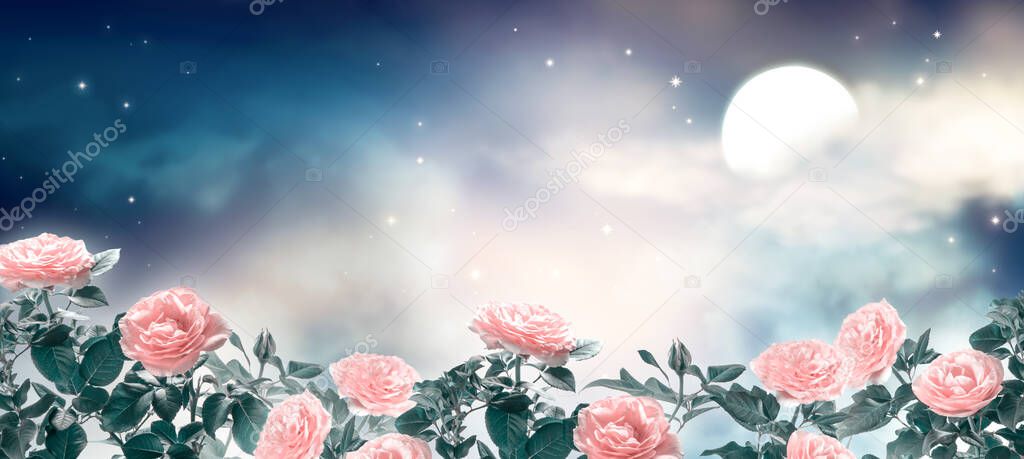 Fairytale fantasy photo background of magical deep blue dark night sky with shining stars, glowing moon, clouds and beautiful fairy pink rose flower garden. Idyllic tranquil fabulous panoramic scene.