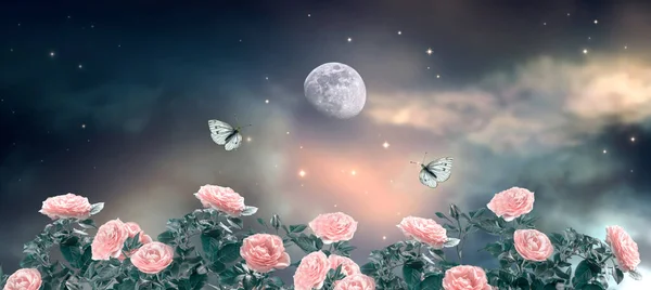 童话般的奇幻画面背景是迷人的深暗夜空 闪烁着星星 美丽的仙女粉红玫瑰花园和飞舞的蝴蝶 Idyllic神话般的全景场景 — 图库照片
