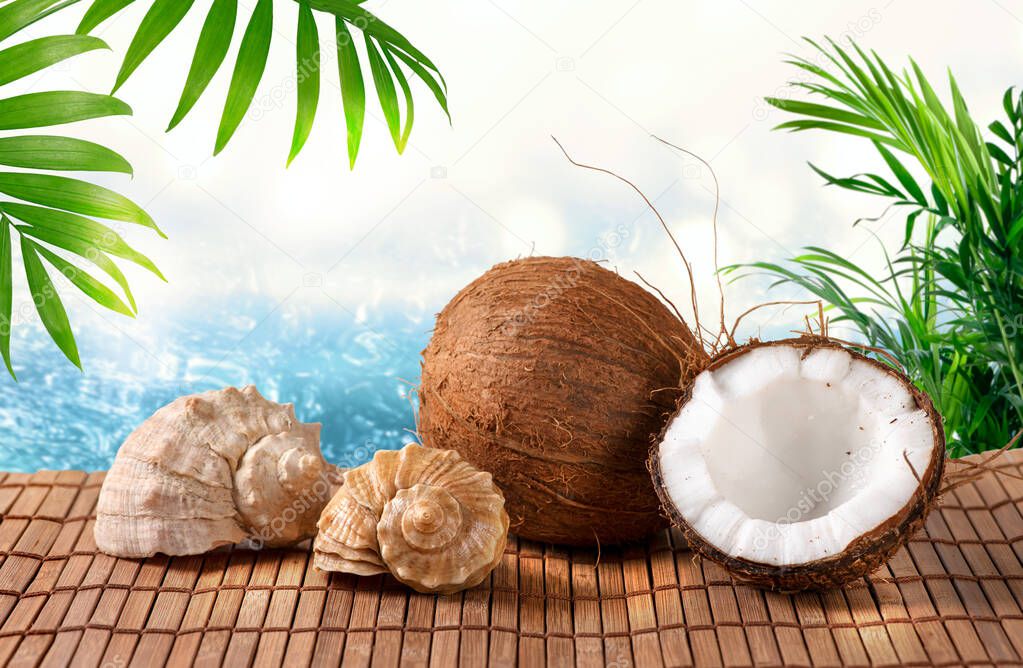 Coconuts and seashells on crystal blue pure sea or ocean background with palm tree leaves, tropical paradise, summer tourism and beach vacation concept.