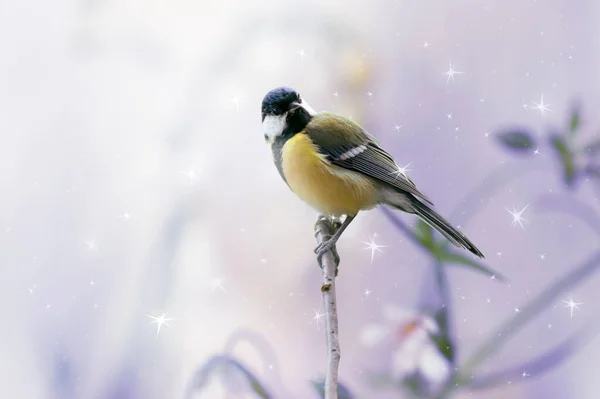 Portrait Tit Bird Sitting Branch Fantasy Mysterious Spring Forest Background — Stock Photo, Image