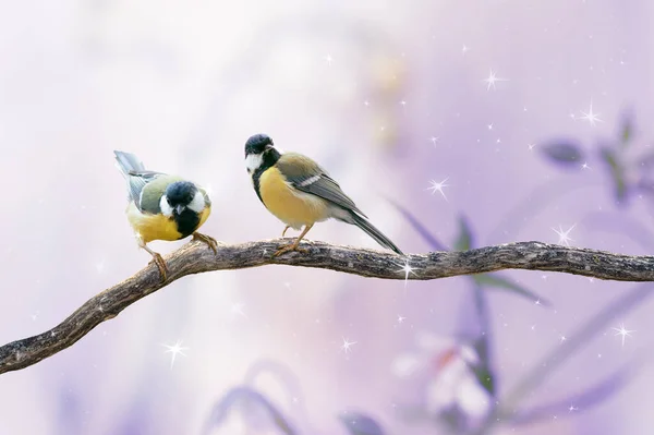 Portrait Two Great Tit Birds Sitting Tree Branch Fantasy Mysterious — Stock Photo, Image