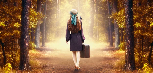 身穿波尔卡圆点裙 头戴礼帽 头戴复古风格手提箱的红头发年轻女子走在森林小径上 肩负着鸟儿的神秘光芒 在林地放松和度假 童话故事之旅 — 图库照片