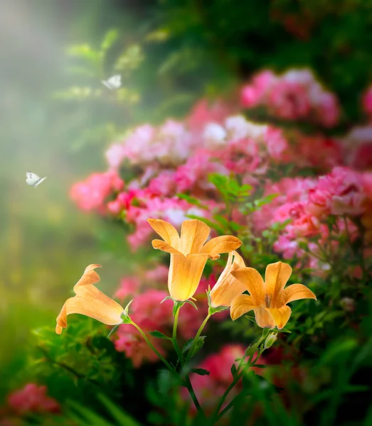 幻想的な魔法の黄金のブルーベルは 魅惑的なおとぎ話の夢のような自己の森の中で輝きます素晴らしいおとぎ話の開花ピンクのバラの花の庭晴れた朝と神秘的な背景に蝶 — ストック写真