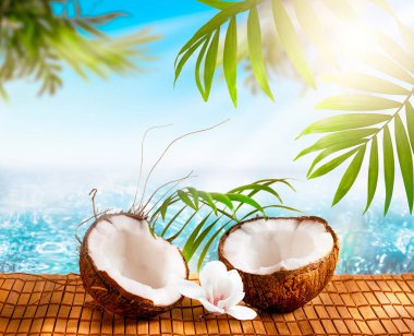 Hindistan cevizi meyvesi ve manolya çiçeği kristal mavi saf deniz veya okyanus zemininde palmiye ağaçları ve güneş ışınları, tropikal Karayipler veya Hawaii cenneti, yaz turizmi ve seyahat, plaj tatili konsepti.
