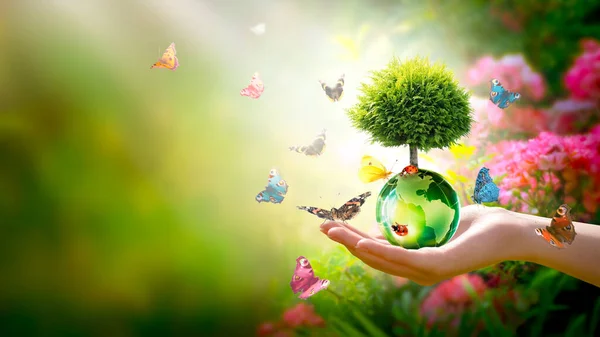 Earth Day World Environment Day Concept Our Planet Protect Green — Stock Photo, Image