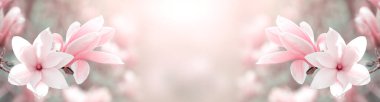 Bahar peri masalı bahçesinde çiçek açan manolya çiçekleri güneş ışığıyla güneşli arka planda, pastel renklerle süslenmiş güzel doğa parkı afişi, kopyalama alanı