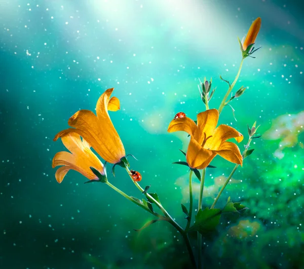 Golden Bluebells Flowers Fantasy Magical Emerald Color Garden Fairy Tale — Stock Photo, Image