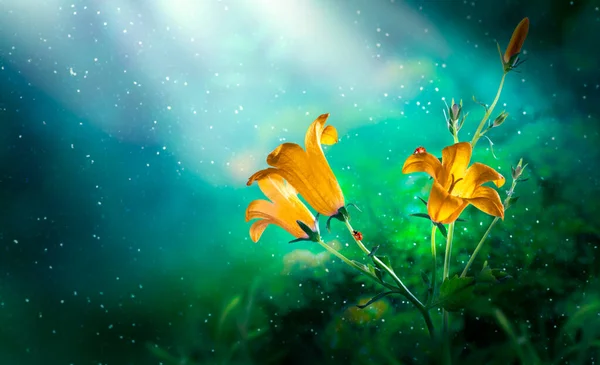 Golden Bluebells Flowers Fantasy Magical Emerald Colored Garden Fairy Tale — Stock Photo, Image