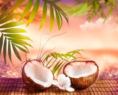 Saf deniz ve okyanus arka planında Hindistan cevizi meyvesi ve manolya çiçeği palmiye ağaçları ve günbatımı ışınları, tropikal Karayipler veya Hawaii cenneti, yaz turizmi ve seyahat, sahil tatili konsepti.