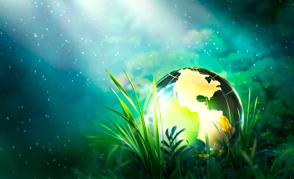 Giornata Della Terra Giornata Mondiale Dell Ambiente Concetto Ecologico Salva — Foto Stock