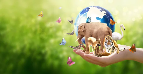 Earth Day or World Animal Day concept. Save our planet, protect wild nature and endangered species, biological diversity theme. Elephant, tiger, deer, parrot, flamingo and butterfly with globe in hand