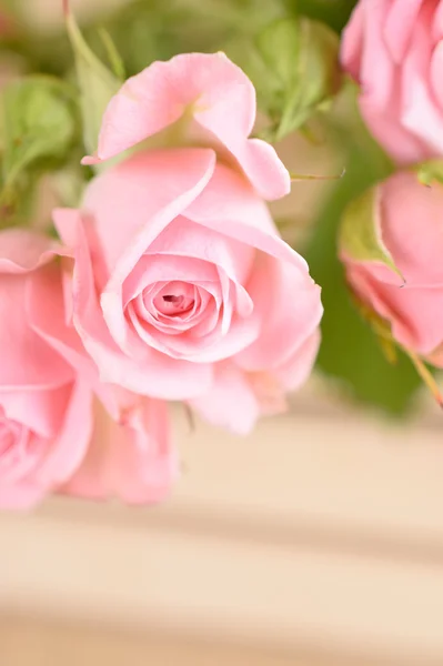 Fondo floral con rosas borrosas artísticas — Foto de Stock