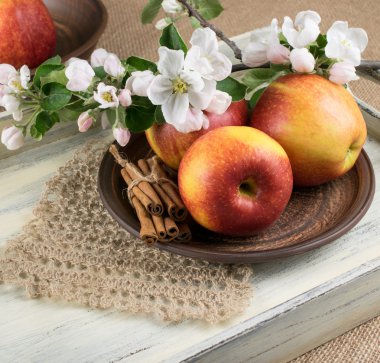 Natürmort elma, tarçın ve dal elma ağacının