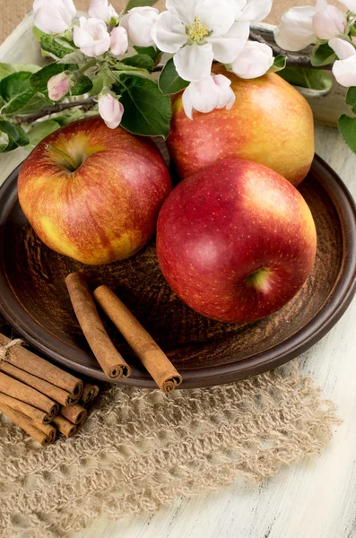 Stilleven met appels, kaneelstokjes en takje appelboom — Stockfoto