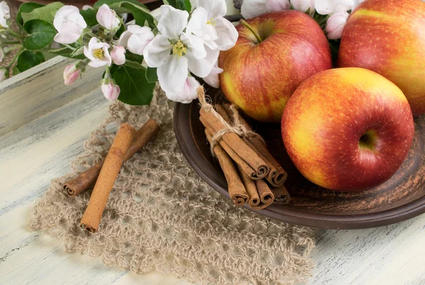 Stilleben med äpplen, kanelstänger och kvist av äppelträd — Stockfoto