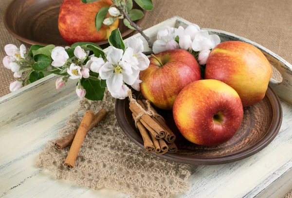 Stilleven met appels, kaneelstokjes en takje appelboom — Stockfoto