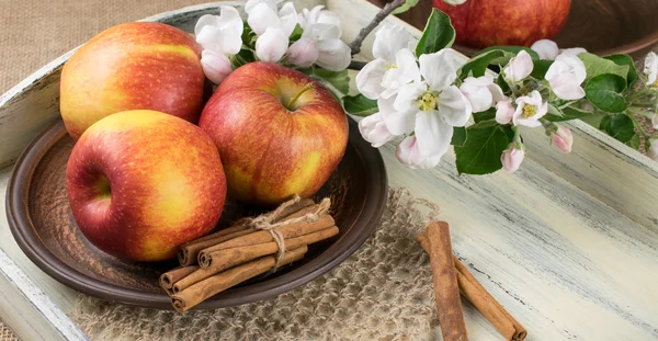 Natura morta con mele, bastoncini di cannella e ramoscello di melo — Foto Stock