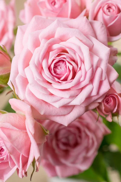 Καρτ ποστάλ με ροζ τριαντάφυλλα — Φωτογραφία Αρχείου