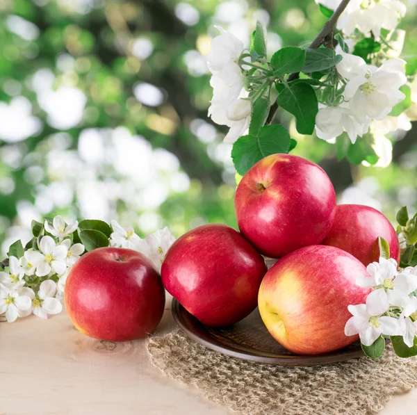 リンゴとリンゴの木の枝のある静物 — ストック写真