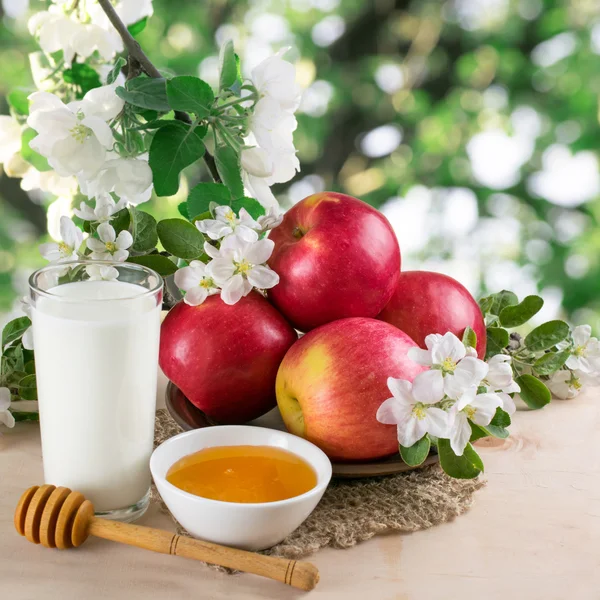 Stilleben med äpplen, mjölk, honung och kvist av äppelträd — Stockfoto