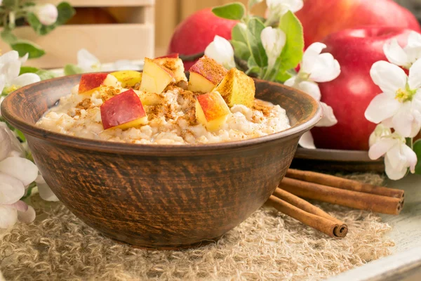 Oatmeal with apple and cinnamon in the bowl and cinnamon sticks — Stock Photo, Image