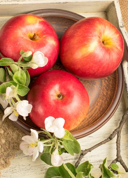 Stilleven met appels en takje appelboom — Stockfoto