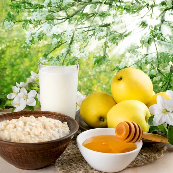 Still life with apples, oatmeal, honey and twig of apple tree — Stock Photo, Image