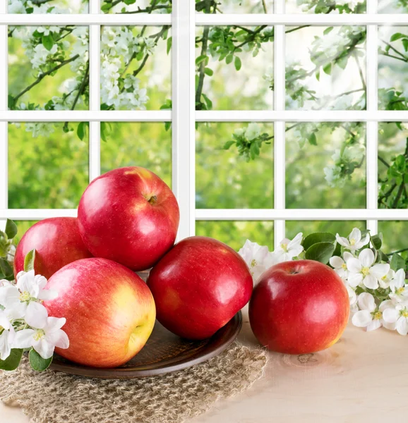 静物リンゴとリンゴの小枝ツリーし、外庭 — ストック写真