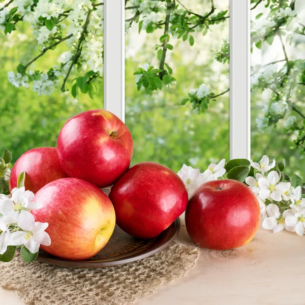 静物リンゴとリンゴの小枝ツリーし、外庭 — ストック写真