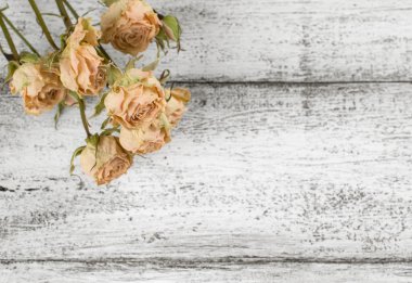 rustik tarzı ahşap plakalar arka plan üzerinde kuru güller