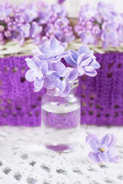 Flores de lilás em uma pequena garrafa de vidro — Fotografia de Stock