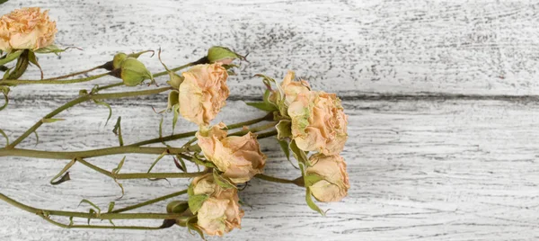 Roses sèches sur fond de planches de bois dans un style rustique — Photo