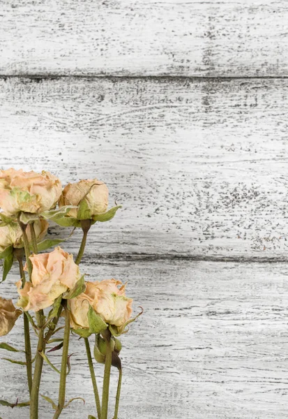 Rosas secas no fundo de pranchas de madeira em estilo rústico — Fotografia de Stock