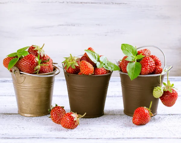 Erdbeere im Eimer — Stockfoto