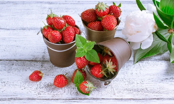 Strawberry in a bucket and peony — Stock Photo, Image